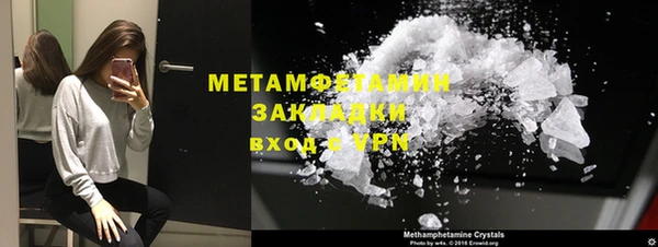 индика Бородино