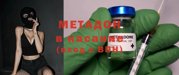 индика Бородино