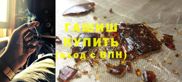 индика Бородино