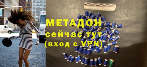 индика Бородино