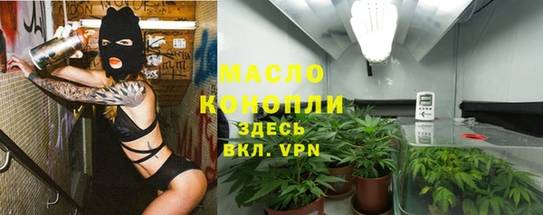 индика Бородино