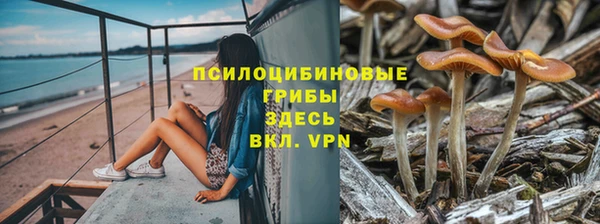 трава Володарск