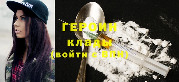 индика Бородино