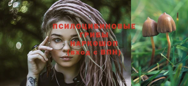 индика Бородино