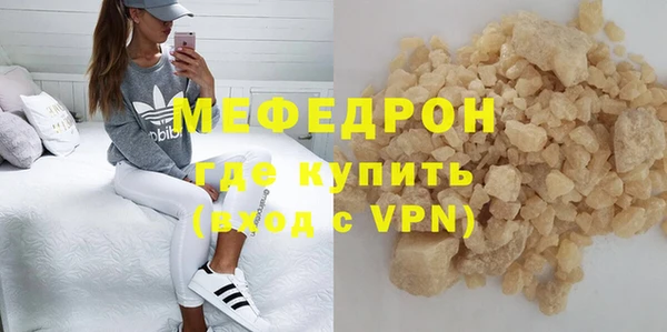 индика Бородино
