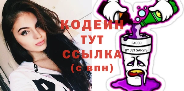 индика Бородино