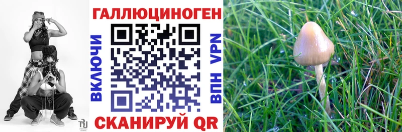 Псилоцибиновые грибы Magic Shrooms  сколько стоит  Разумное 