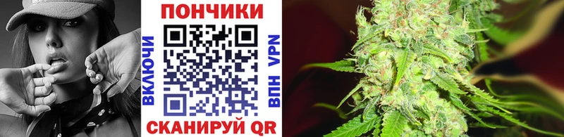 Бошки марихуана индика  даркнет сайт  Разумное 